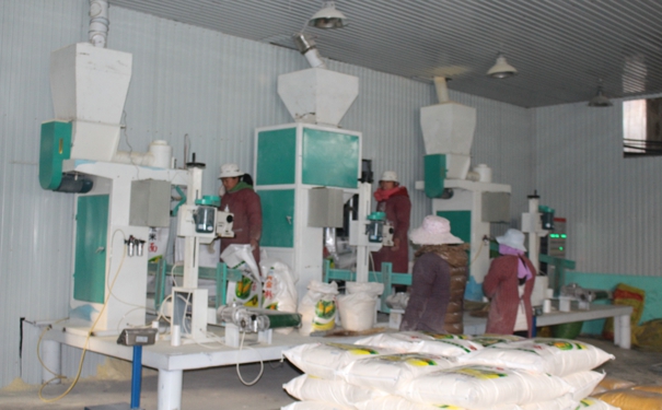 日产30吨必威比分多少钱?点击在线咨询，即刻获取优惠报价